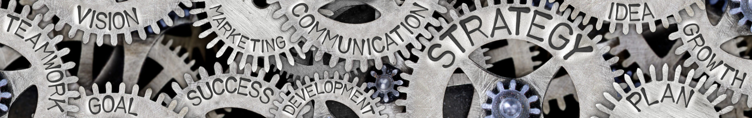 Board – Network for Responsible Public Policy
