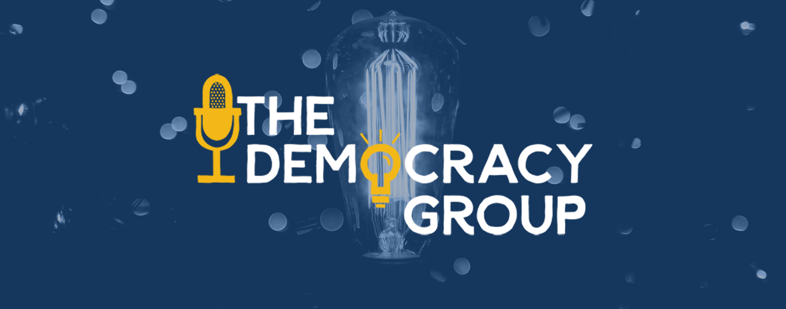 About The Democracy Group