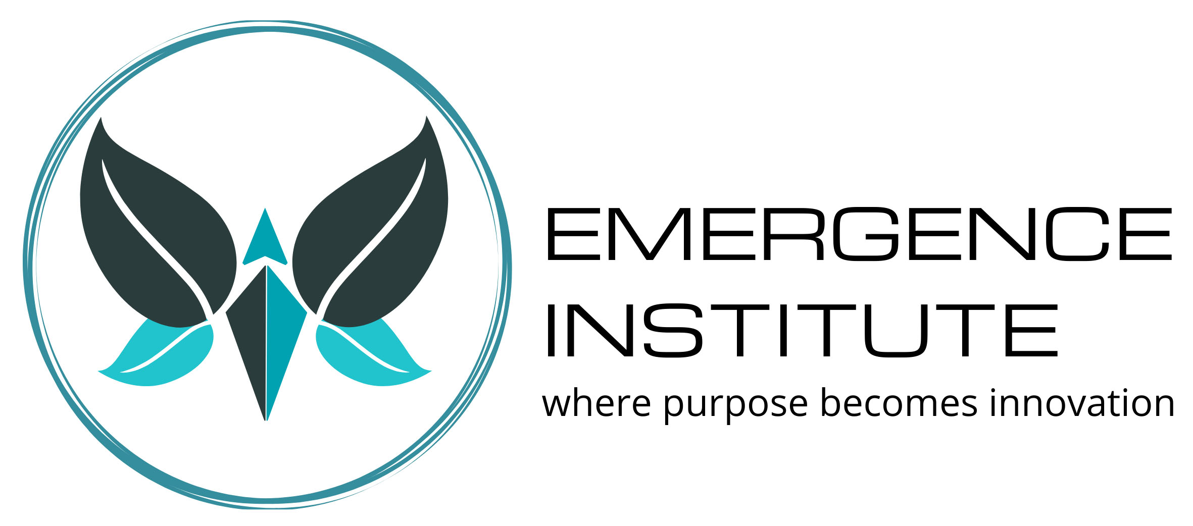 ABOUT - Emergence Institute