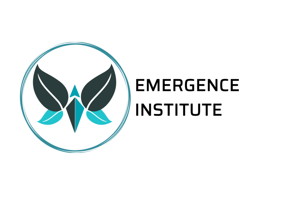 About Emergence - Emergence Institute