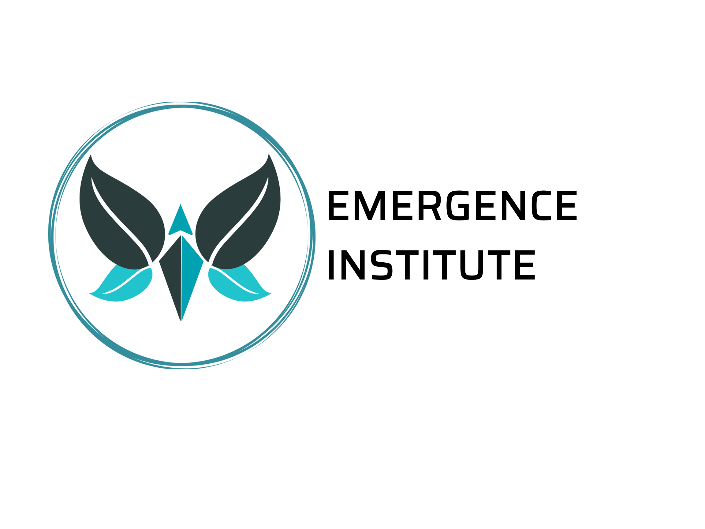 Contact Us - Emergence Institute
